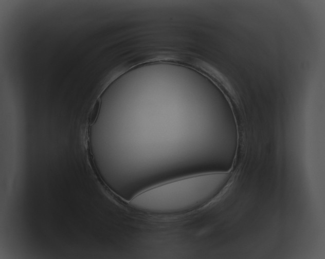 X0000100891377200806241000