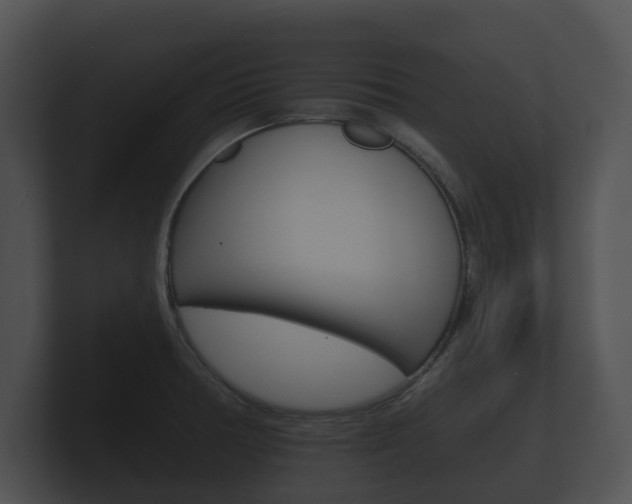 X0000100891378200806241000