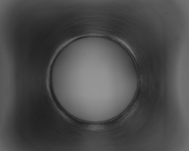 X0000100891379200806241000