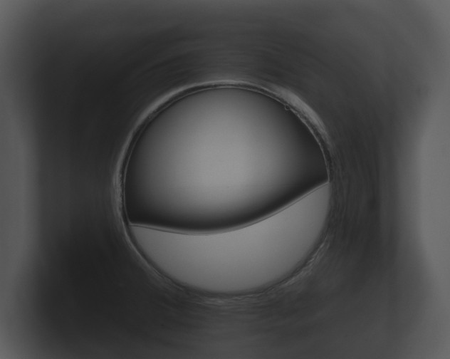 X0000100891380200806240959