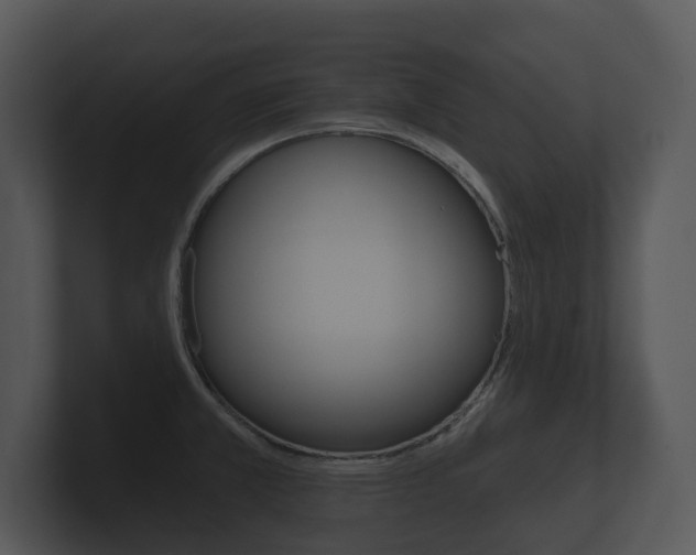 X0000100891381200806240959