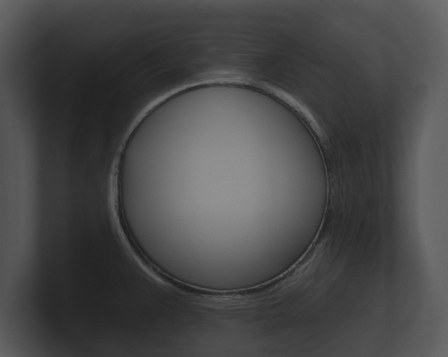 X0000100891383200806240959