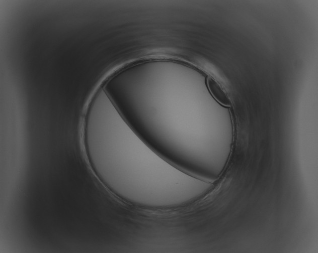 X0000100891384200806240959