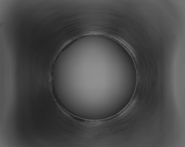 X0000100891385200806240959