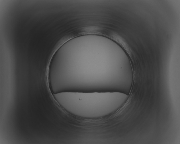 X0000100891386200806240959