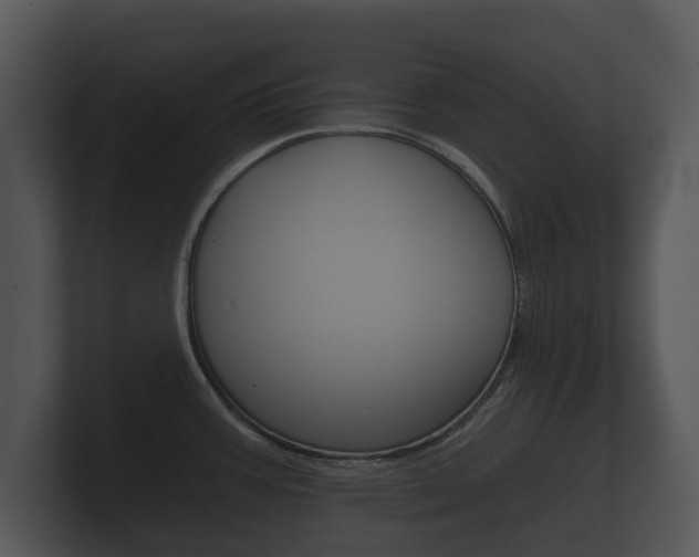 X0000100891387200806240959