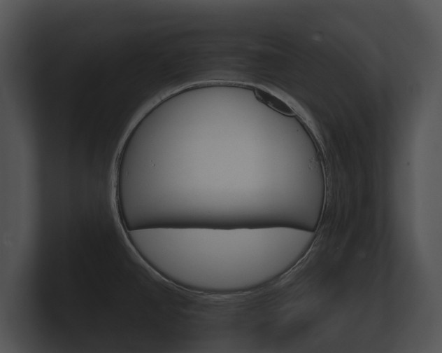 X0000100891390200806240959