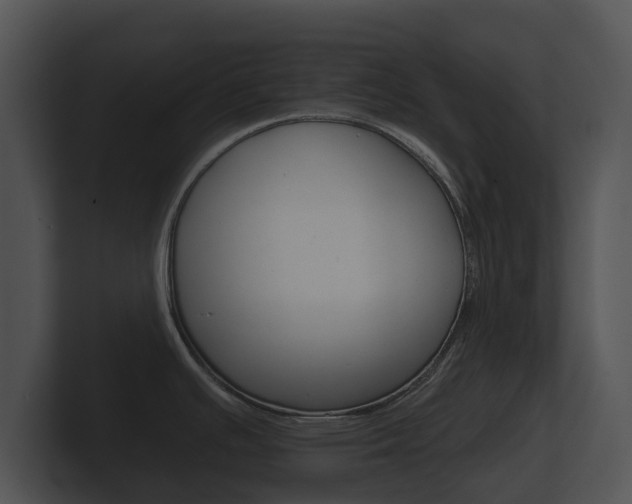 X0000100891391200806240959