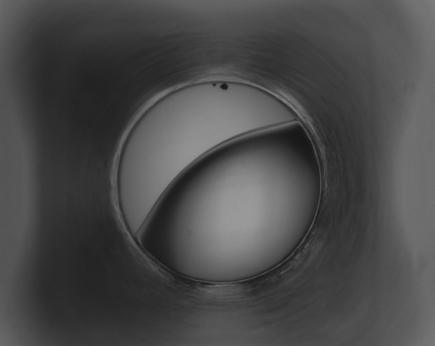 X0000100891392200806240959