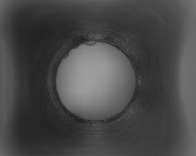 X0000100891393200806240959
