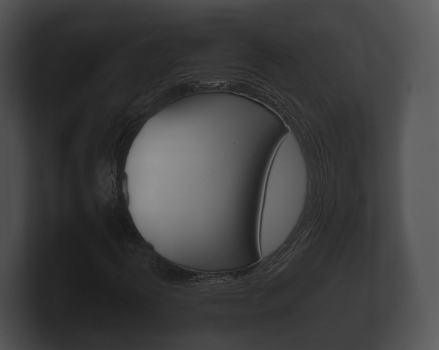 X0000100891394200806240959