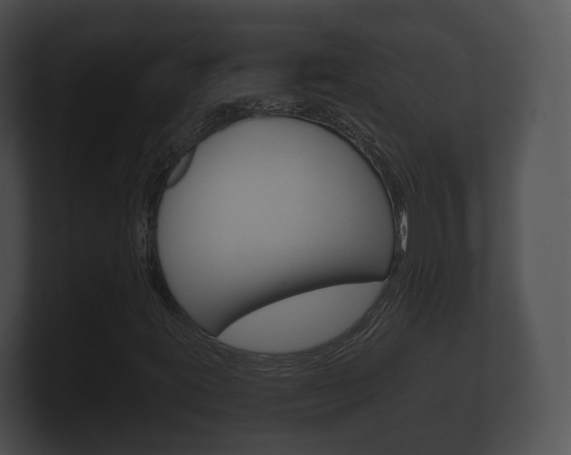 X0000100891395200806240959