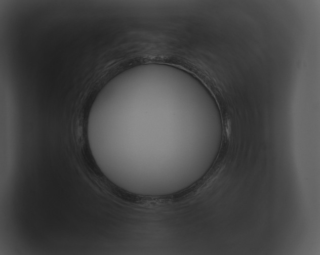 X0000100891396200806240959