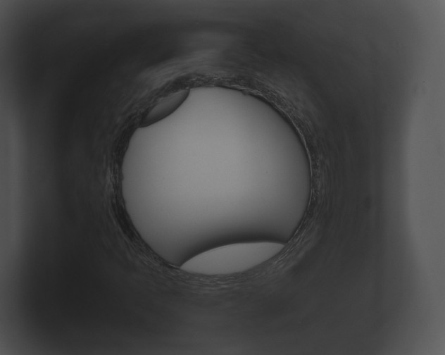 X0000100891397200806240959