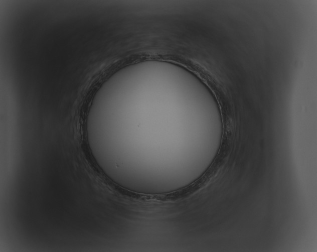 X0000100891398200806240959