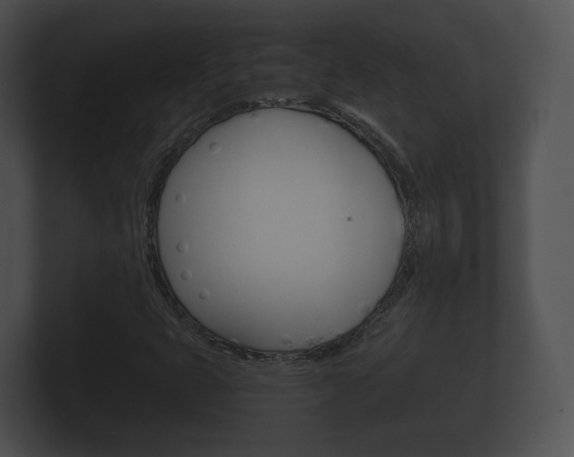 X0000100891399200806240959