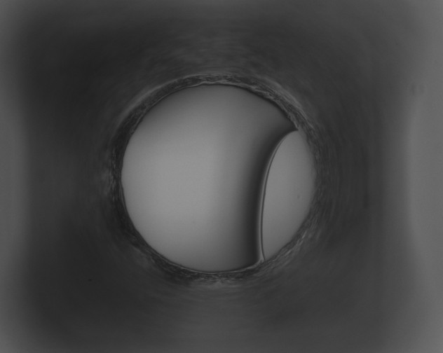 X0000100891400200806240959