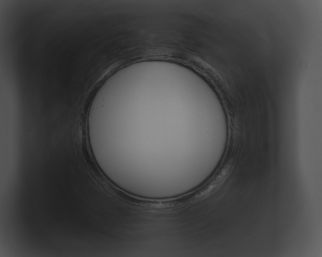 X0000100891401200806240959