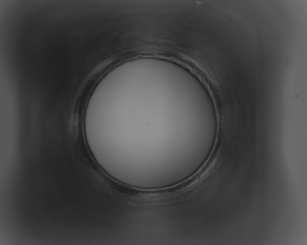 X0000100891402200806240959