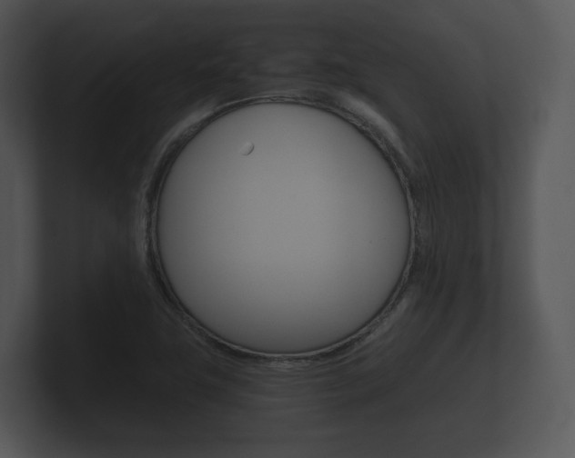 X0000100891411200806240959