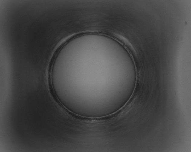 X0000100891412200806240959