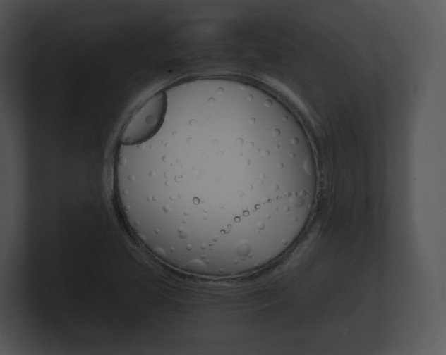 X0000100891413200806240959