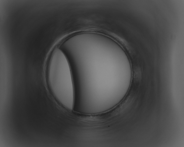 X0000100891414200806240959