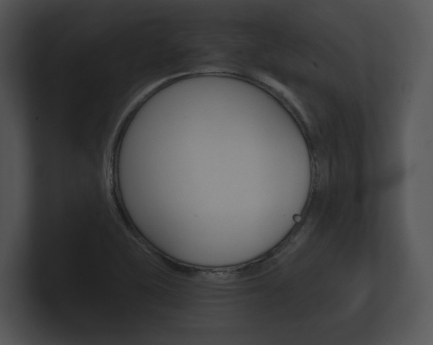 X0000100891415200806240959