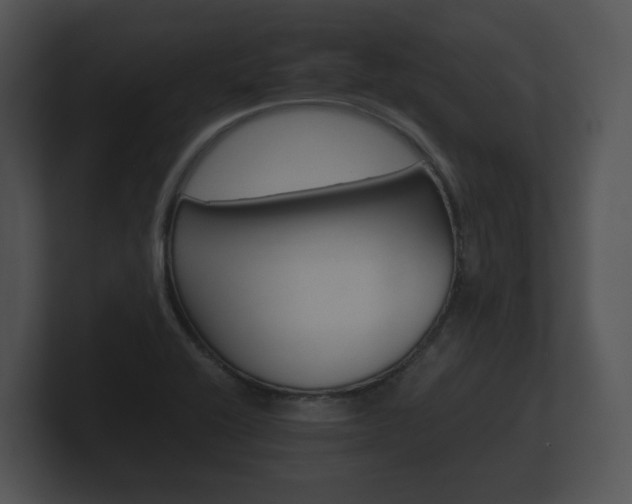 X0000100891416200806240959