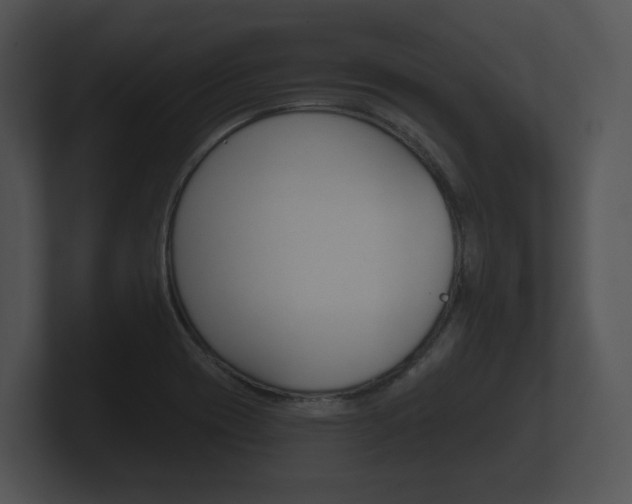 X0000100891417200806240959