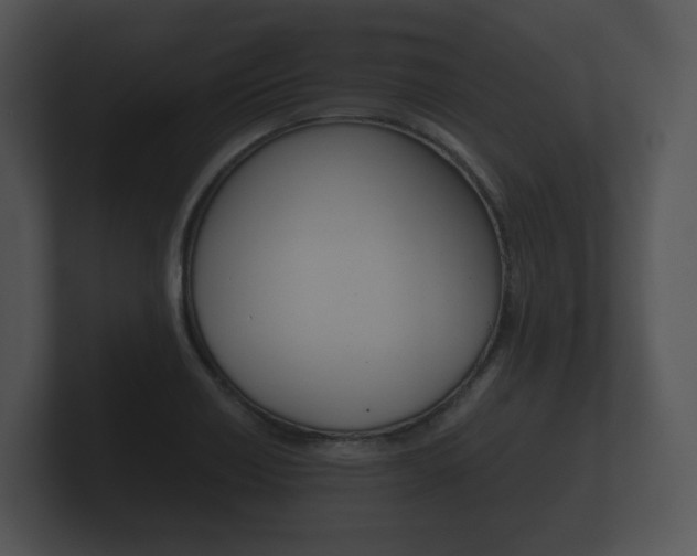 X0000100891418200806240959