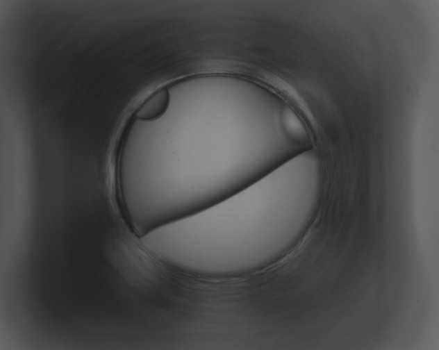 X0000100891419200806240959