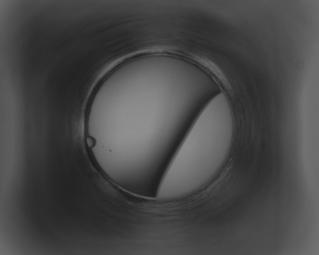 X0000100891420200806240959