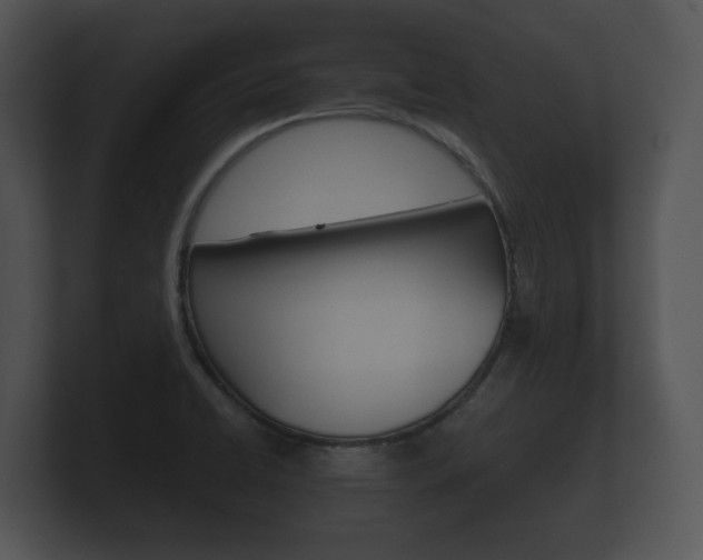 X0000100891422200806240959