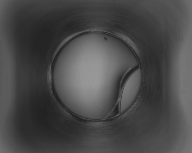 X0000100891428200806240959