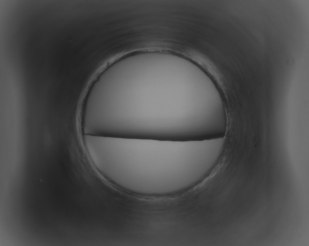 X0000100891429200806240959