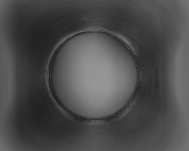 X0000100891430200806240959