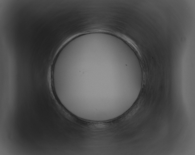 X0000100891431200806240959