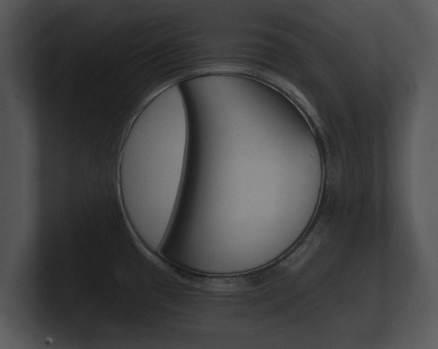 X0000100891433200806240959