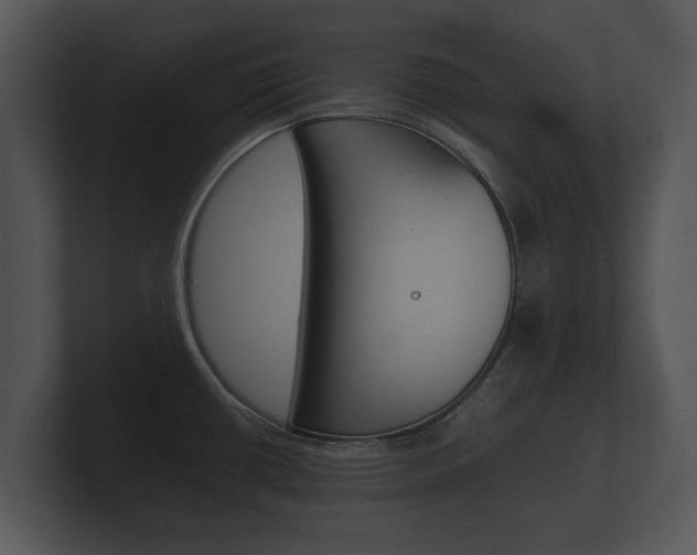 X0000100891434200806240959