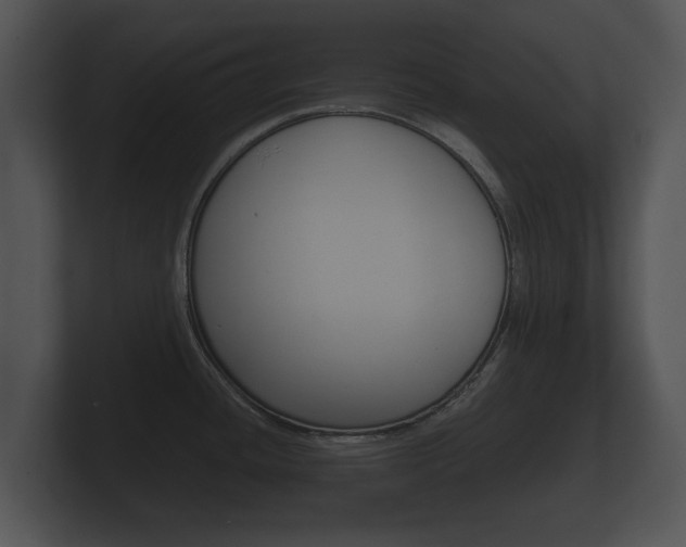 X0000100891436200806240959