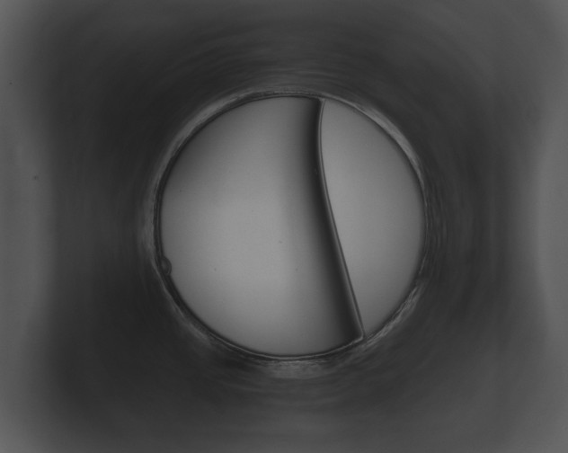 X0000100891437200806240959