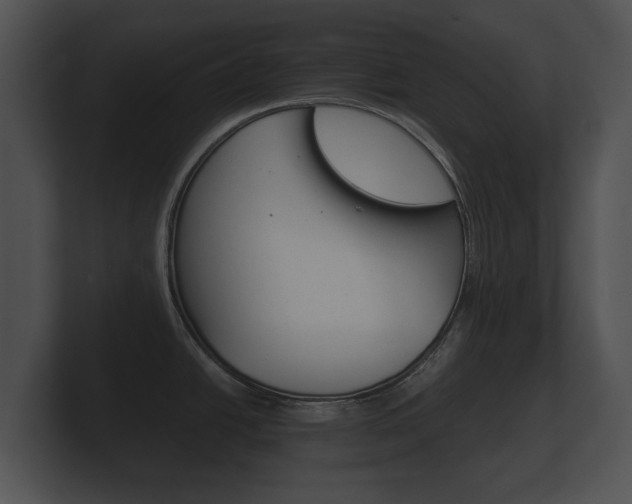 X0000100891438200806240959