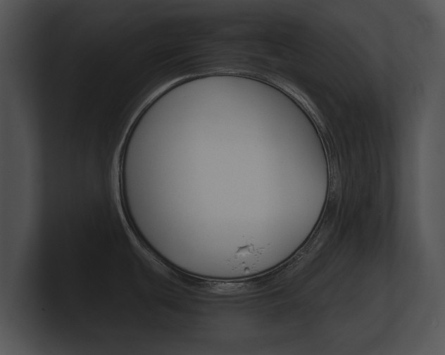 X0000100891439200806240959