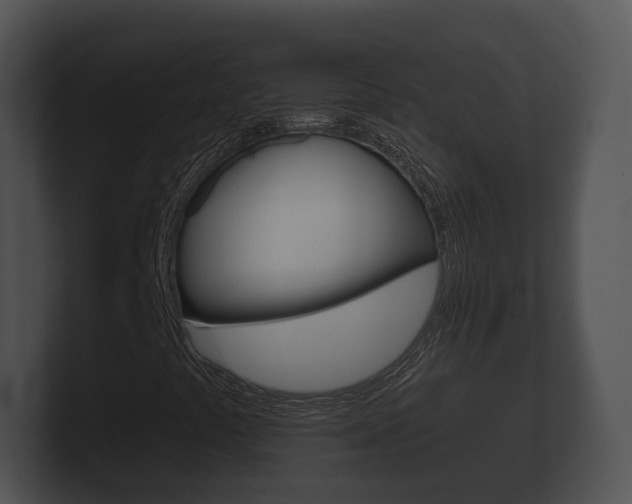 X0000100891441200806240958