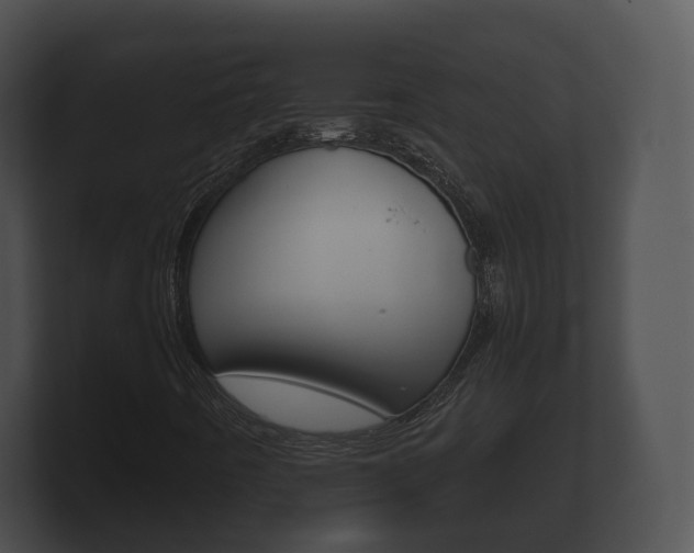 X0000100891442200806240958
