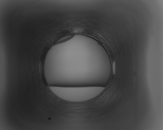 X0000100891443200806240958