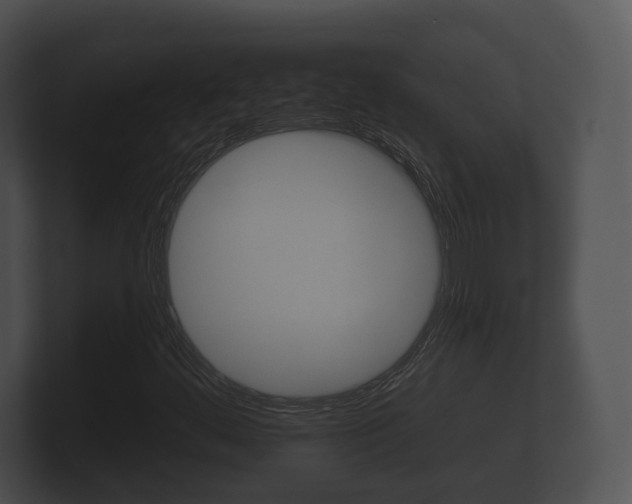 X0000100891444200806240958