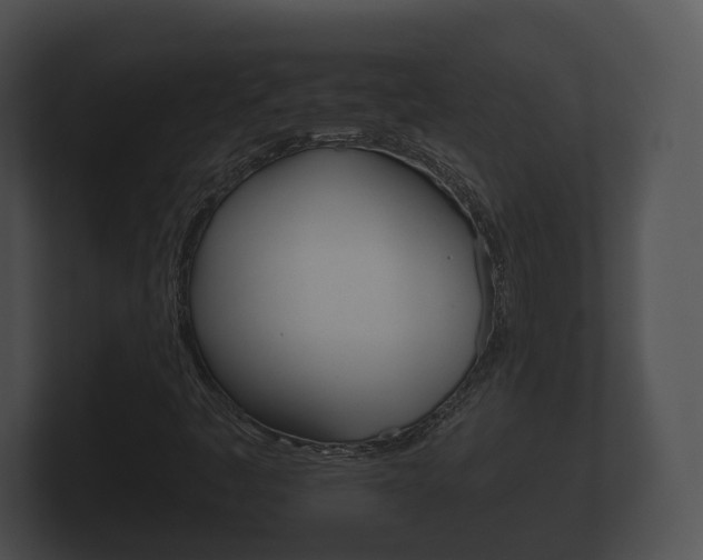 X0000100891445200806240958