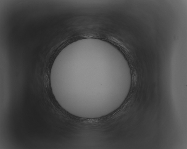 X0000100891446200806240958